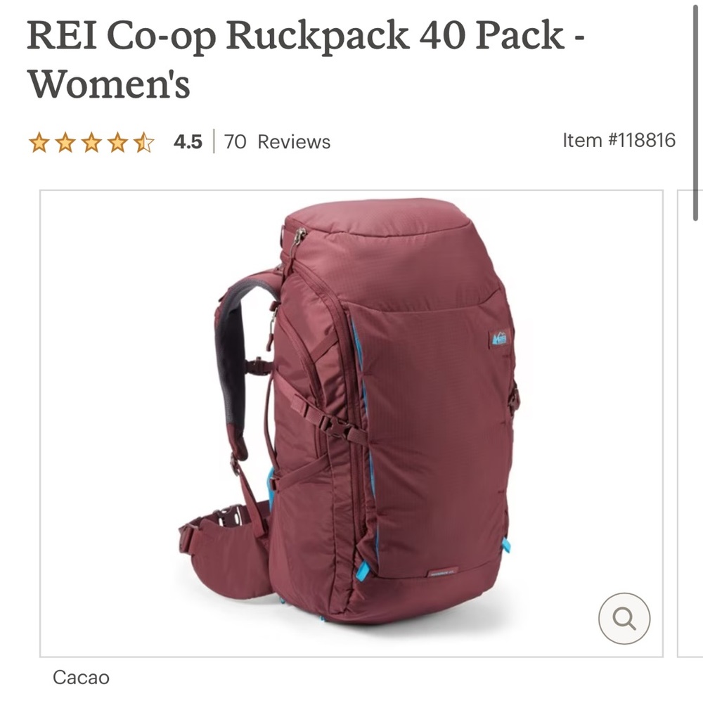 REI 40L Luggage Backpack